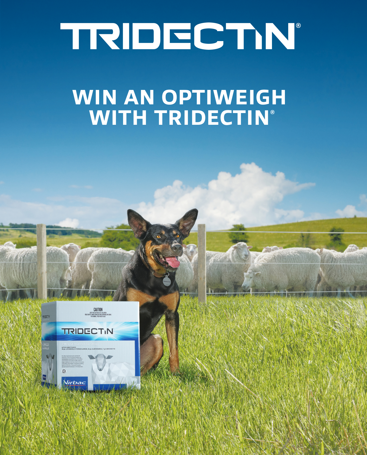 Win a Kelpie with Tridectin