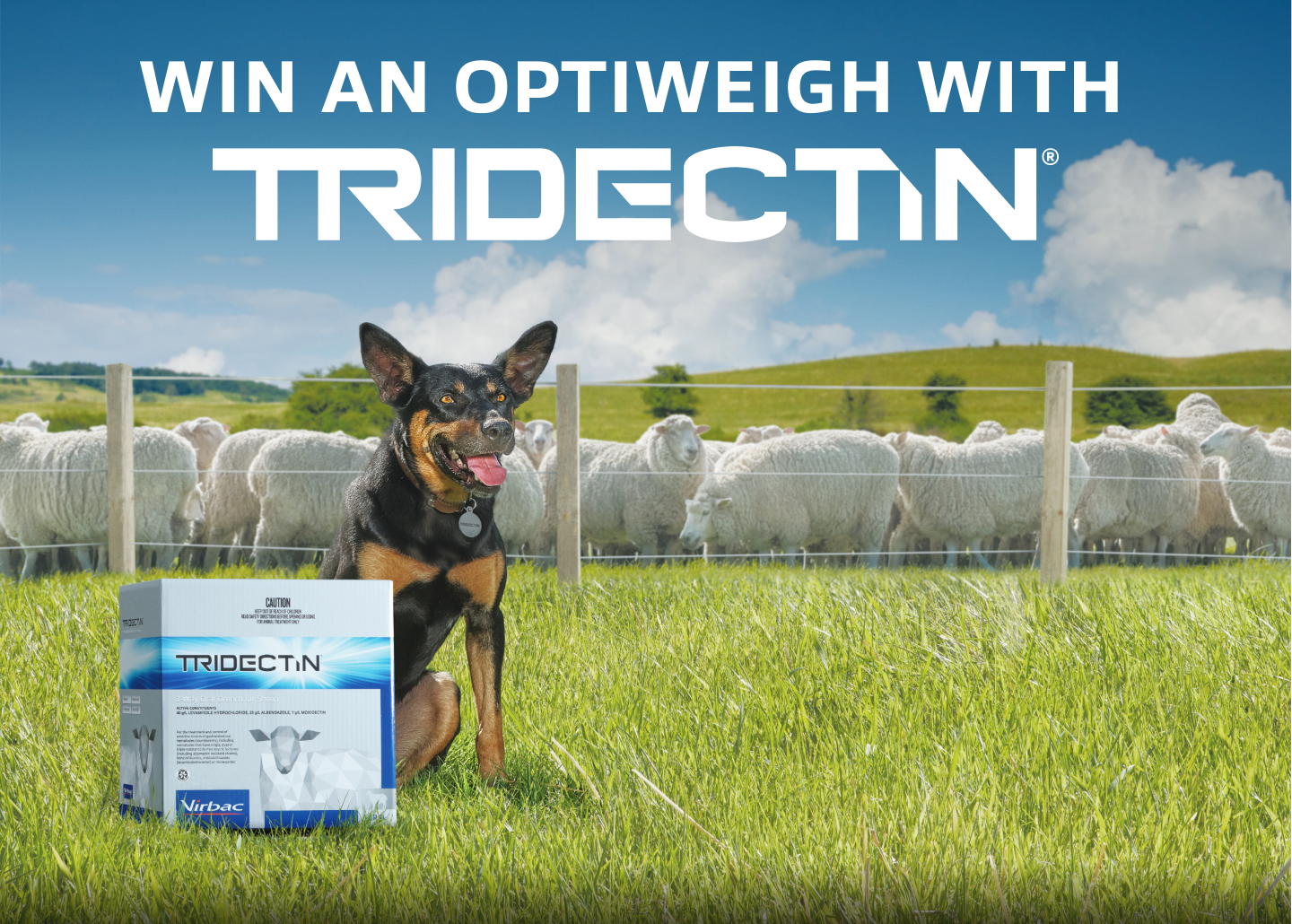 Win a Kelpie with Tridectin