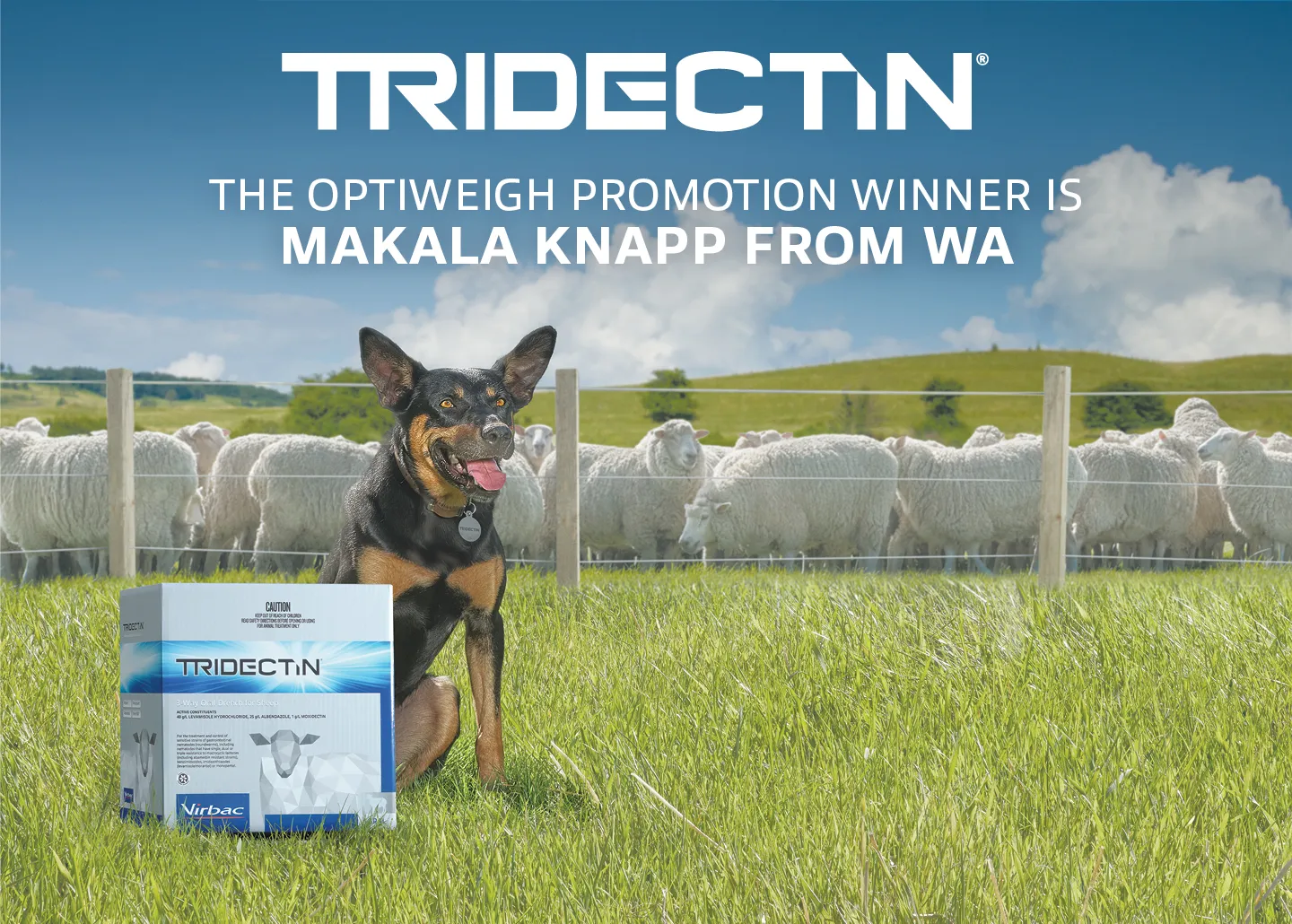 Win a Kelpie with Tridectin